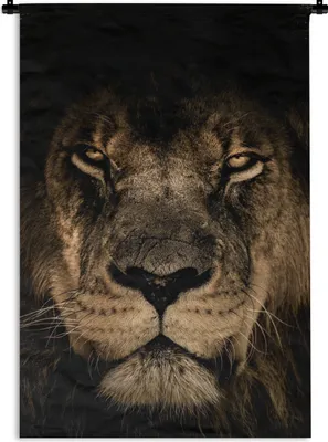 Produktbild von MuchoWow® Wandteppich Wandbehang Löwe - Tiere - Schwarz - Porträt 120x180 cm Tapisserie Dekoration Wandtuch - Schlafzimmer - Dekorationen für das Haus