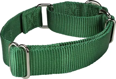 Produktbild von Verstellbares Martingale-Hundehalsband - Nylon, Sicherheitstraining, Bequeme Metallschnalle, Geeignet für Kleine, Mittelgroße und Große Hunde