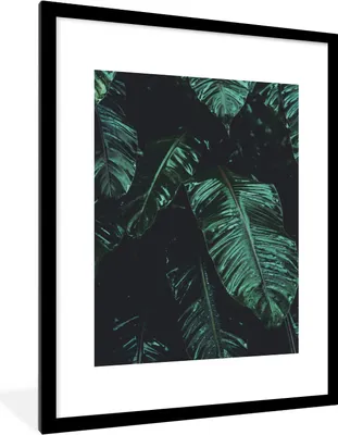Produktbild von MuchoWow® Gerahmtes Poster Dschungel - Palme - Blätter - Tropisch 60x80 cm - Poster mit Schwarzem Bilderrahmen Wandposter Rahmen Foto Bilder - Wohnzimmer - Dekorationen - Prämie