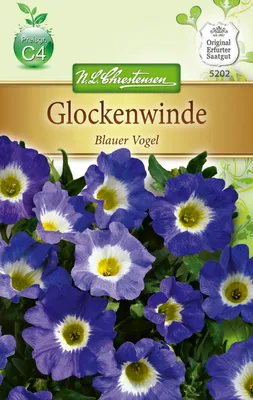 Produktbild von Glockenwinde Blau | Glockenblumensamen von N.L. Chrestensen