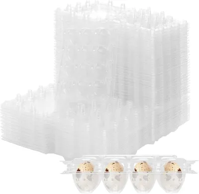 Produktbild von Kwarteleierbox transparent PVC, 12 Stück, platzsparend, für den Kühlschrank