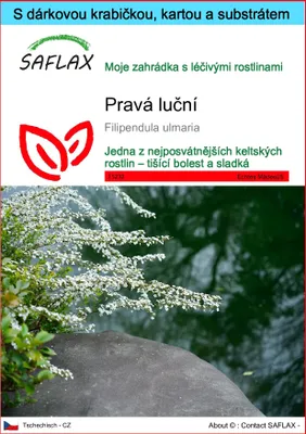 Obrázek produktu pro SAFLAX Dárková sada - Pravá luční - Filipendula ulmaria - 500 Semena - S dárkovou krabičkou, přepravním štítkem, dárkovou kartou a pěstebním médiem
