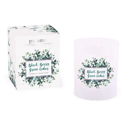 Produktbild von pajoma® Duftkerze, Black Berry Green Cedar - im weißen Glas | 80g Wachsgewicht, Brenndauer: 20 Stunden, in edler Geschenkverpackung | Springtime Edition