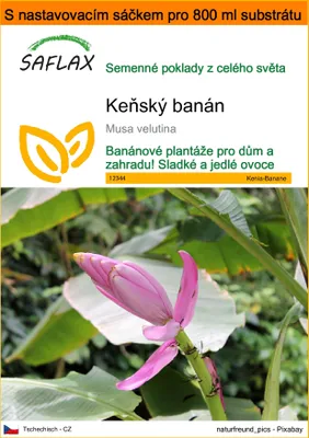 Obrázek produktu pro SAFLAX Garden in the bag - Keňský banán - Musa velutina - 8 Semena - S pěstebním substrátem v praktickém samovztyčovacím sáčku