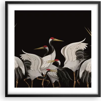 Produktbild von Gerahmtes Poster - Schwarzer Rahmen - Kraniche Vögel Grafiken - 50x50 cm - Wand Bild - Wanddeko - Wandbilder - Kunstposter - Wandposter - Bilderrahmen - Bilder - Kunstdruck - P2BAC50x50-4748