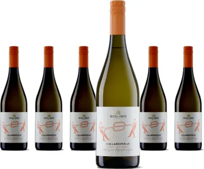 Produktbild von 6 x Soligo Chardonnay Marca Trevigiana