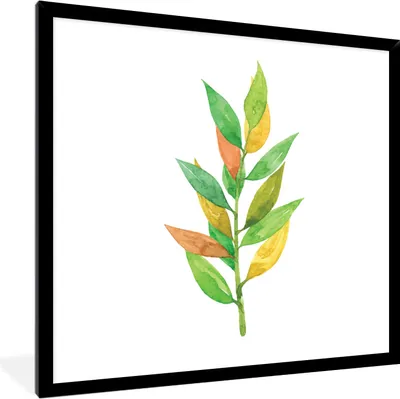 Produktbild von MuchoWow® MuchoWow® Gerahmtes Poster Aquarelle - Blätter - Pflanzen 40x40 cm - Poster mit zchwarzem Bilderrahmen - Mit Rahmen - Wanddekoration Schlafzimmer