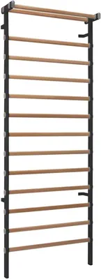 Produktbild von Sprossenwand Metall/Holz, H x B 240 x 90 cm, 14 Sprossen