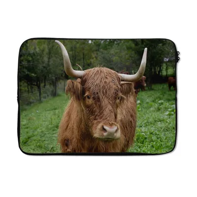 Produktbild von MuchoWow® Laptop Hülle 14 ZollSchottische Highlander - Tiere - Gras Laptoptasche - Laptoptasche - Stoßsicher - Schutzhaube