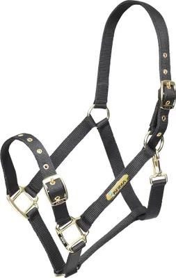 Immagine prodotto di ARMA - Cavezza per cavalli, regolabile ER1852 (XFull) (Nero)