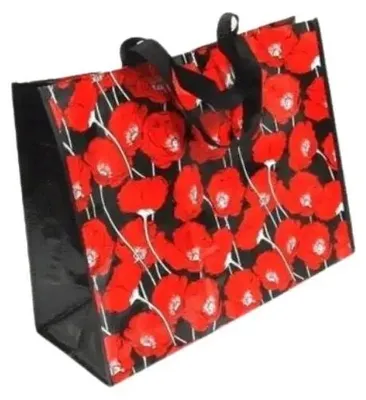 Image de Sac à provisions 47 x 37 x 19 cm - Penword