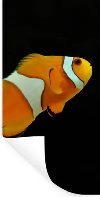 Produktbild von MuchoWow® Wandtattoo Wandsticker Wandaufkleber Fisch - Linie - Schwarz 60x120 cm Selbstklebend und Repositionierbar - Selbstklebend - Fototapeten