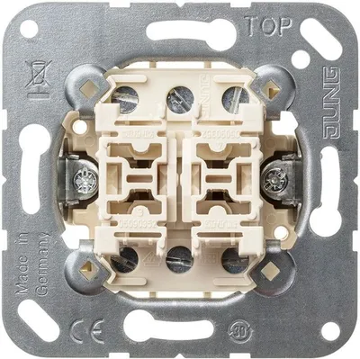 Produktbild von Jung Wippschalter (Einsatz), 10 AX, 250 V, Doppel-Wechsel, 1 Stk.