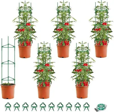 Productafbeelding van Famanu plantensteunen voor tomaten - 6 stuks, verstelbaar, groen