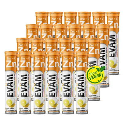 Produktbild von EVÄM Zink + Vitamin C Brausetabletten 24er Set (480 Stk) zur Unterstützung des Immunsystem, Haut, Haare, Nägel, Zitronig, vegan, Hergestellt in DE