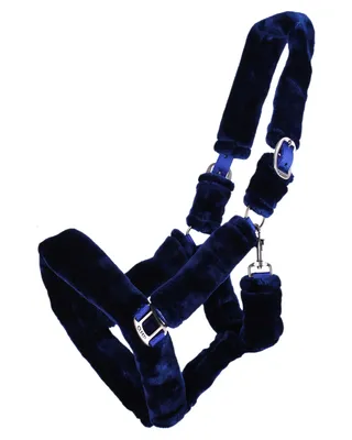 Produktbild von QHP Halfter Alaska Navy/blau, Größe:Cob