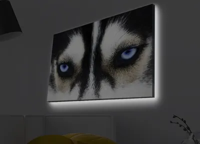 Produktbild von Opviq, 4570MDACT- LED4431, Bunt, Leinwandbilder, 45 x 70 cm, 100% Wildleder -Leinwand