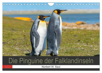 Produktbild von Die Pinguine der FalklanSteckanschlussln (Wandkalender 2027 DIN A4 quer), CALVENDO Monatskalender