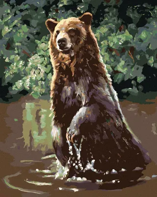 Produktbild von Zuty - Malen nach Zahlen - BÄR IM WASSER (D. RUSTY RUST), 40x50 cm, mit Keilrahmen (bereits gespannt)