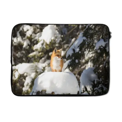 Produktbild von MuchoWow® Laptop Hülle 13 Zoll Fuchs - Schnee - Baum Laptoptasche - Laptophülle - Sleeve - Rundumschutz