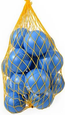 Produktbild von 16 Togu Redondo® Bälle mini m. Ballnetz - blau