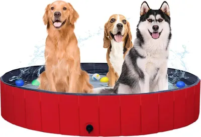 Produktbild von Hundenbad - Hundepool - Bad für Hunde - Hunde-Badewanne - Tierbad - Tierpool - Pool für Hunde - Abkühlung für Hunde