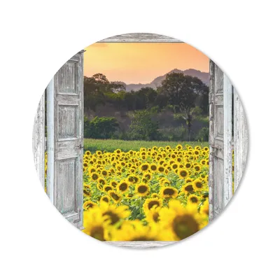 Produktbild von MuchoWow® Mauspad Mousepad Sonnenblume - Abend - Blumen - Ansicht 50x50 cm - Mousepads - Maus Mat - Pad - Mausunterlage - Vinyl