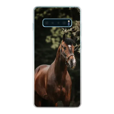 Produktbild von MuchoWow® Handyhülle Schutzhülle Hülle für Samsung Galaxy S10 Plus Pferd - Äste - Porträt Silikon Softcase Handy Hülle - Schutzhülle