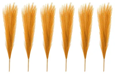 Immagine prodotto di Elzusha - Piume decorative in stile Pampas, color oro - 6 pezzi - 43 cm - Ideali per l'arredamento boho