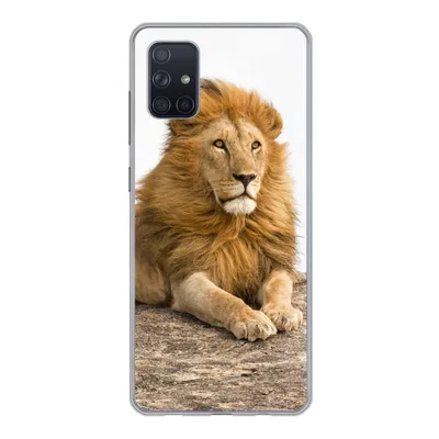 Produktbild von MuchoWow® Handyhülle Schutzhülle Hülle für Samsung Galaxy A71 Löwe - Mähne - Tier Silikon Softcase Handy Hülle - Kartenbesitzer