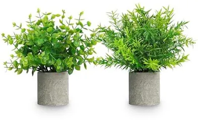 Immagine prodotto di Piante decorative di eucalipto, grigie, set da 2 pezzi