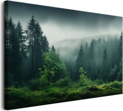 Obrázek produktu pro Nástěnná dekorace do obývacího pokoje - obraz na plátně Horská krajina v mlze 80x120