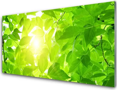 Produktbild von Acrylglasbilder 100x50 Wandbild Druck Blätter Pflanzen