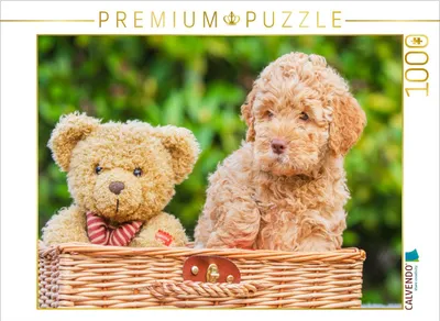 Produktbild von CALVENDO Puzzle Zwei Kuschelteddys | 1000 Teile Lege-Größe 64x48cm Foto-Puzzle für glückliche Stunden