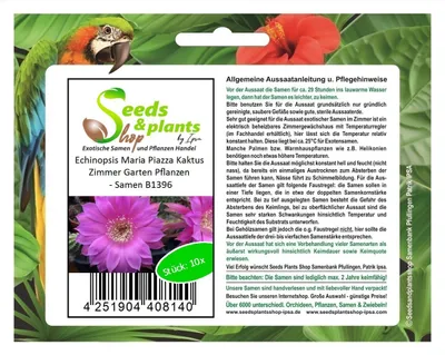 Produktbild von 10x Echinopsis Maria Piazza Kaktus Zimmer Garten Pflanzen - Samen B1396