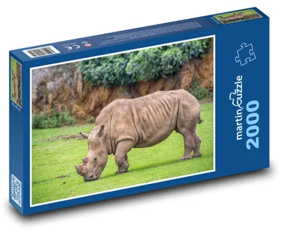 Obrázek produktu pro Puzzle 2000 Nosorožec v divočině - martinpuzzle
