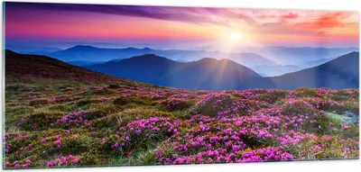 Produktbild von Bilder auf glas - Wiese Berg Himmel Landschaft - 100x40cm - Glasbilder - Wandbilder - Kunstdruck - zum Aufhängen bereit - Wanddekoration aus Glas - Glas Bilder - Wandbild auf Glas - GAB100x40-2719