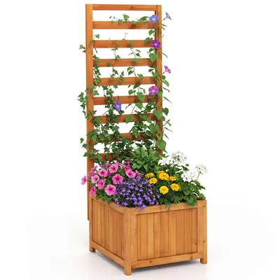 A wooden planter box with a trellis, filled with various flowers and climbing plants, set against a white background.