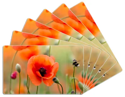 Produktbild von Wallario Frühstücksbrettchen 6er Set aus Glas, je 14 x 23 cm, mit rutschfesten Füßen, Motiv Mohnblumenblüten