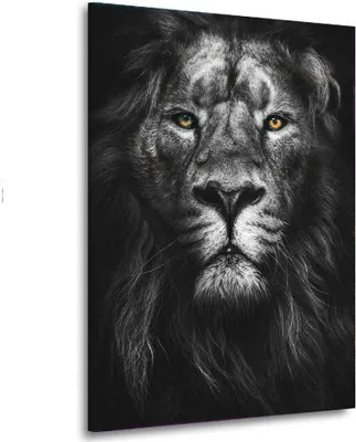 Produktbild von Löwen Kopf Tier Motivation Leinwandbild Wandbild Deko Kunst XL: 75x100x2cm