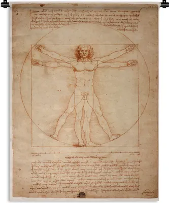 Produktbild von MuchoWow® Wandteppich Wandbehang Der vitruvianische Mensch - Leonardo da Vinci 60x80 cm Tapisserie Dekoration Wandtuch - Decke - Wandtücher - Wohne