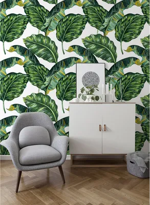 Produktbild von Coloray Fototapete 208x146 cm Vlies-Fototapete - Monstera