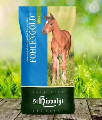 Produktbild von St. Hippolyt Fohlengold Müsli | 20 kg