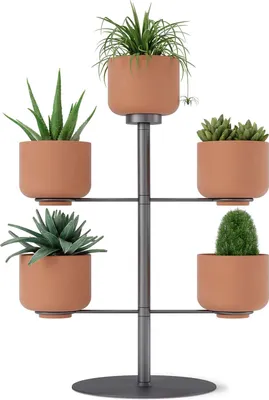 Immagine prodotto di Umbra Blumenständer Terrapotta, mit 5 Übertöpfen 7.5 cm, Blumentopf, Metall, Terracotta, 1015664-624