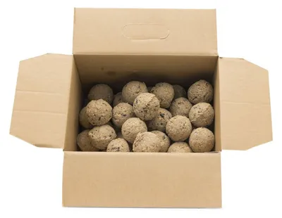 Produktbild von Gifts4Nature Meisenknödel ohne Netz 50 Stück - Maisenknoedel à 80g - Vogelfutter Wildvögel Ganzjährig - Wildvogelfutter - Fettfutter für Wildvögel