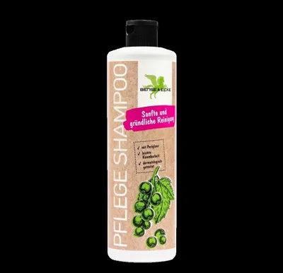 Produktbild von B&E Pflege Shampoo 500 ml