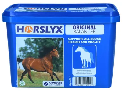 Zdjęcie produktu dla Horslyx Original 5 kg – lizawka dla koni