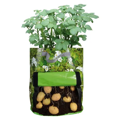 Obrázek produktu pro ESSCHERT DESIGN Pěstírna brambor