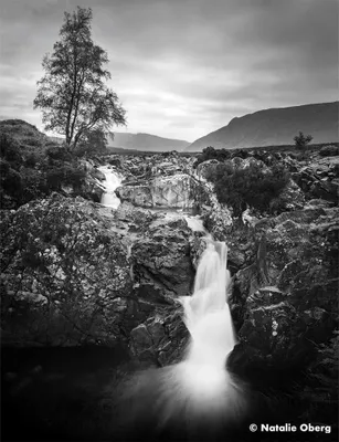 Immagine prodotto di Pellicola fotografica Ilford Ortho Plus 120 Taglia unica