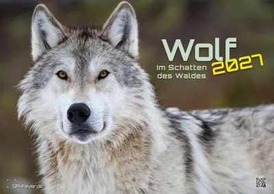 Obrázek produktu pro Nástěnný kalendář 2027 - Fotografie vlků, formát A3